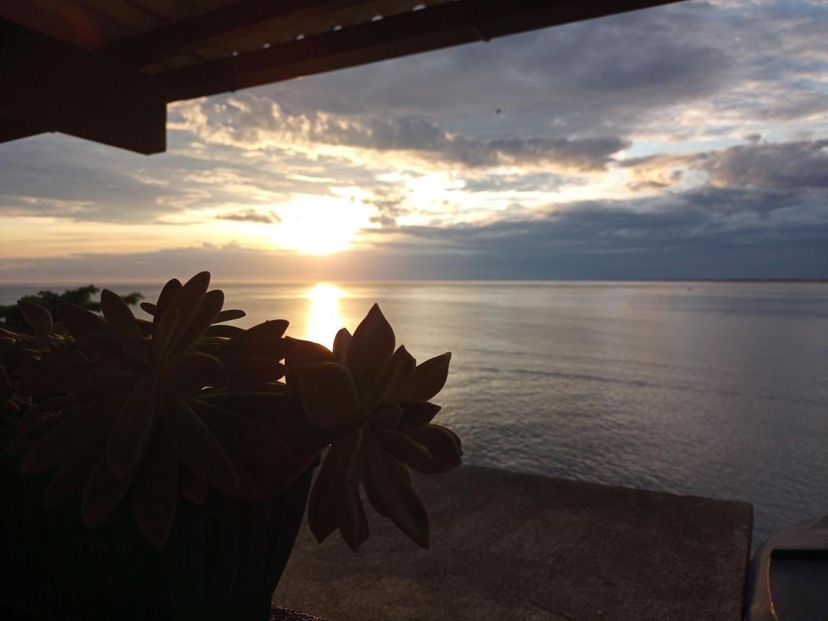 Hostel Guaratiba Casa Do Cafe リオデジャネイロ エクステリア 写真